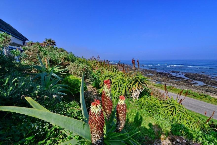 ホテル Casa Seaviews ポート・エリザベス エクステリア 写真